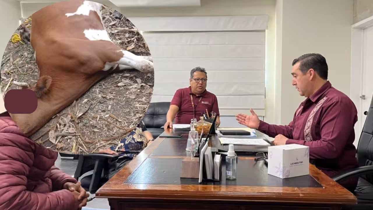 Investigan-muertes-de-reses-por-envenenamiento-en-Hidalgo