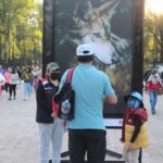 Gran éxito tiene la exhibición fotográfica “Esto es Tamaulipas” en el Bosque de Chapultepec