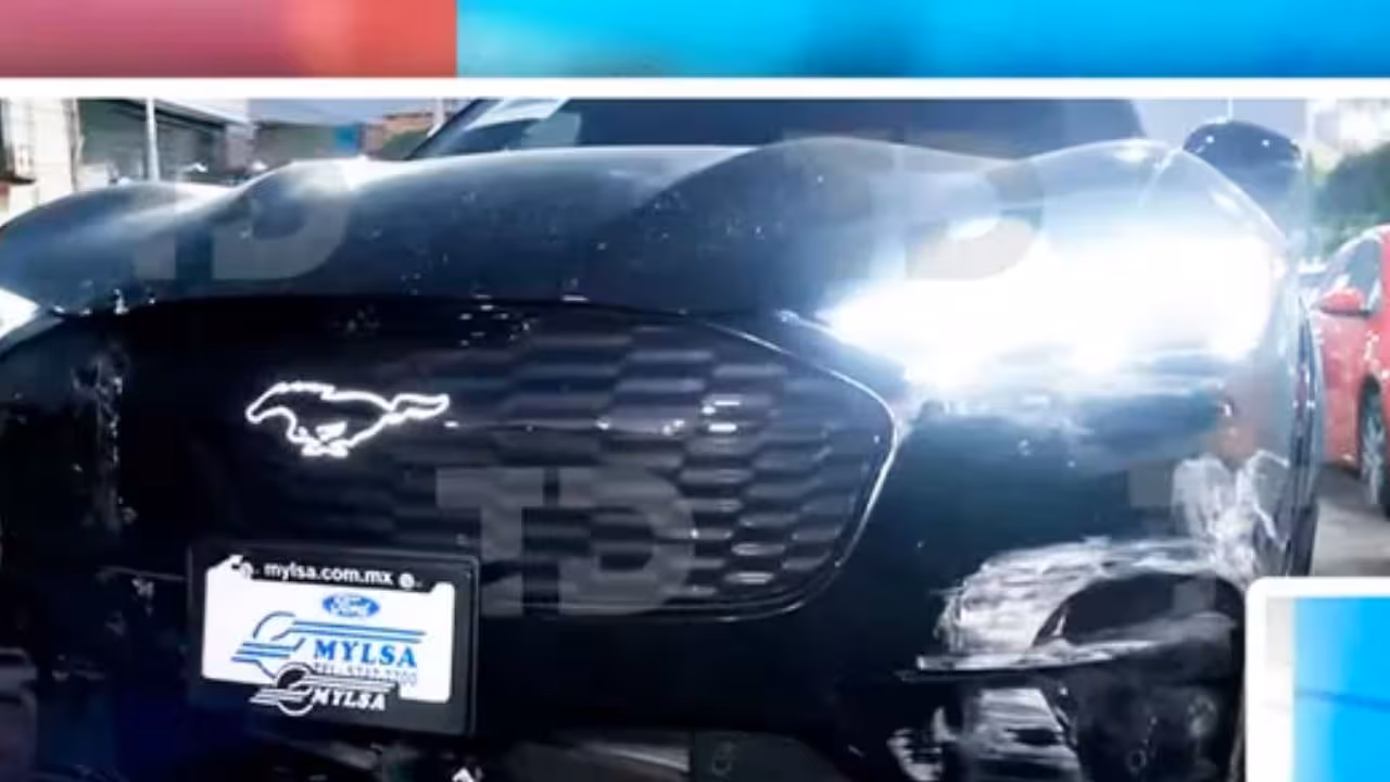 Robo-de-Mustang