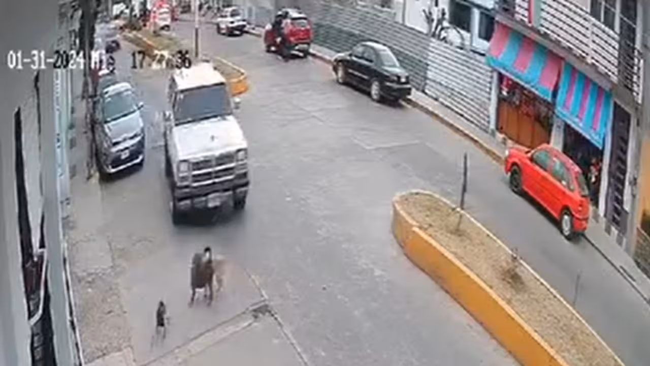 Video-Automovilista-arrolla-a-perrito-a-proposito-en-Jilotepec