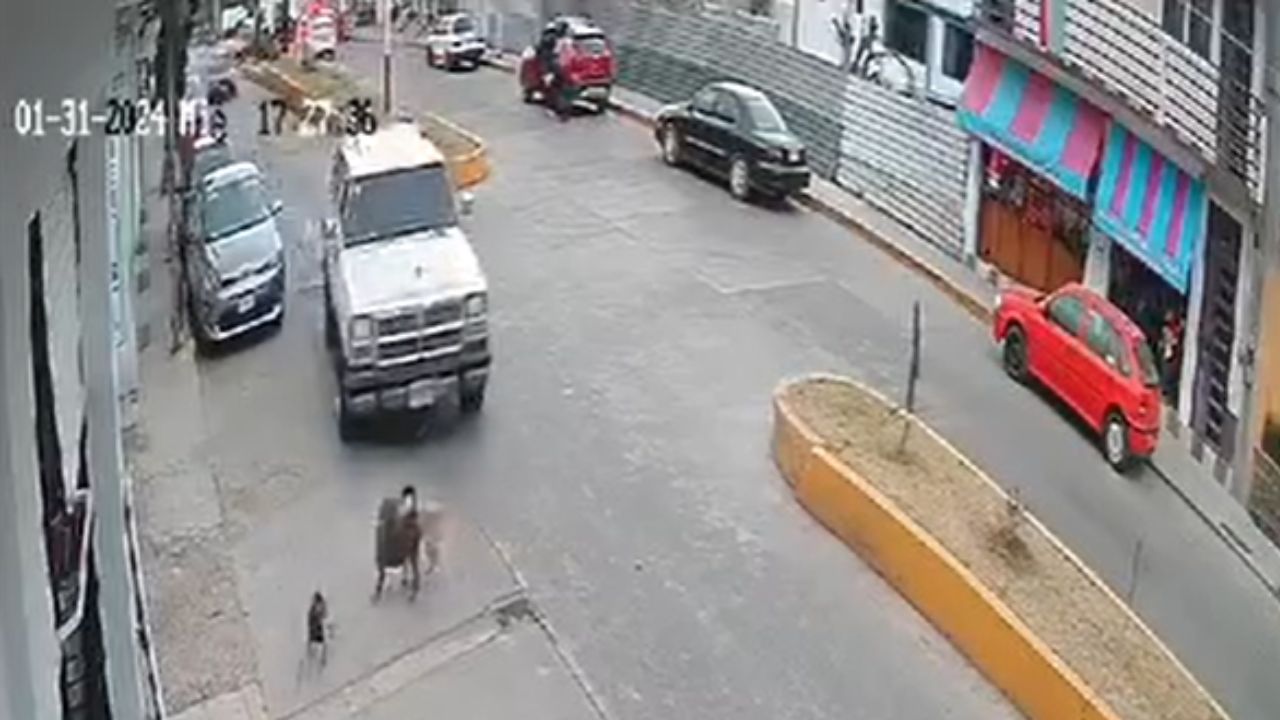 Video-Automovilista-arrolla-a-perrito-a-proposito-en-Jilotepec