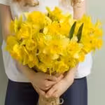 64f7383f26338