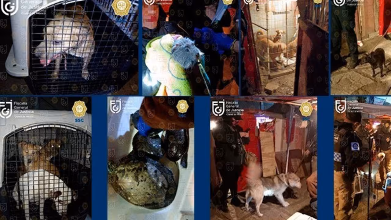 rescate-animales-Xochimilco