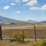 Evitar cambios de uso de suelo y trabajo en unidad para poder producir agua en sus bosques solicitan comuneros de la Meseta Purépecha