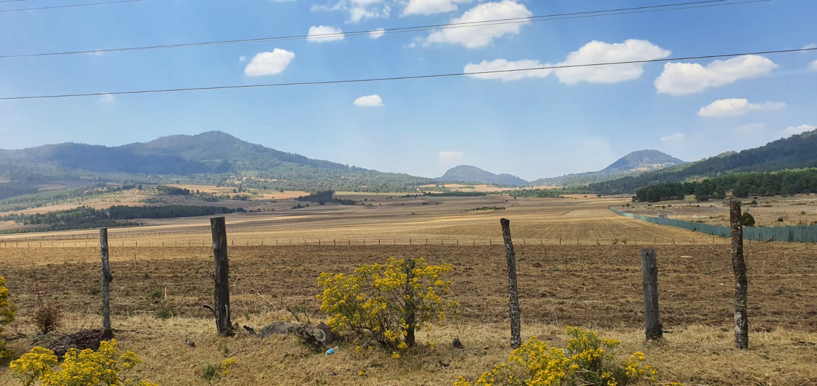 Evitar cambios de uso de suelo y trabajo en unidad para poder producir agua en sus bosques solicitan comuneros de la Meseta Purépecha