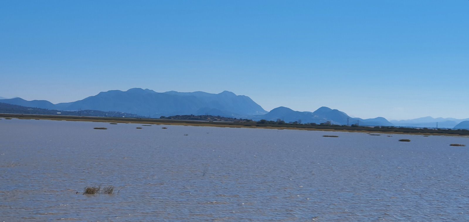 Sólo un Decreto Presidencial como zona de Restauración Ecológica podrá salvar al lago de Cuitzeo