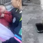 bebe-en-puebla