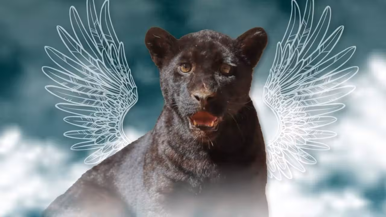 jaguar-zoologico-Morelia