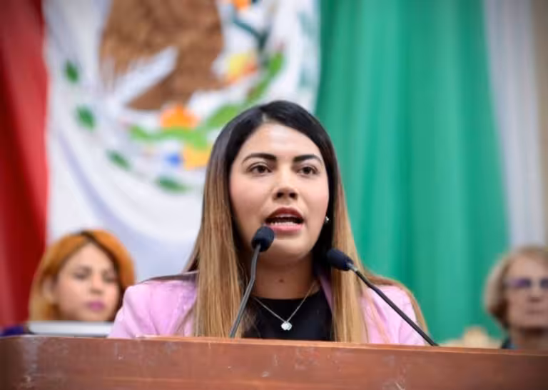 piden-diputados
