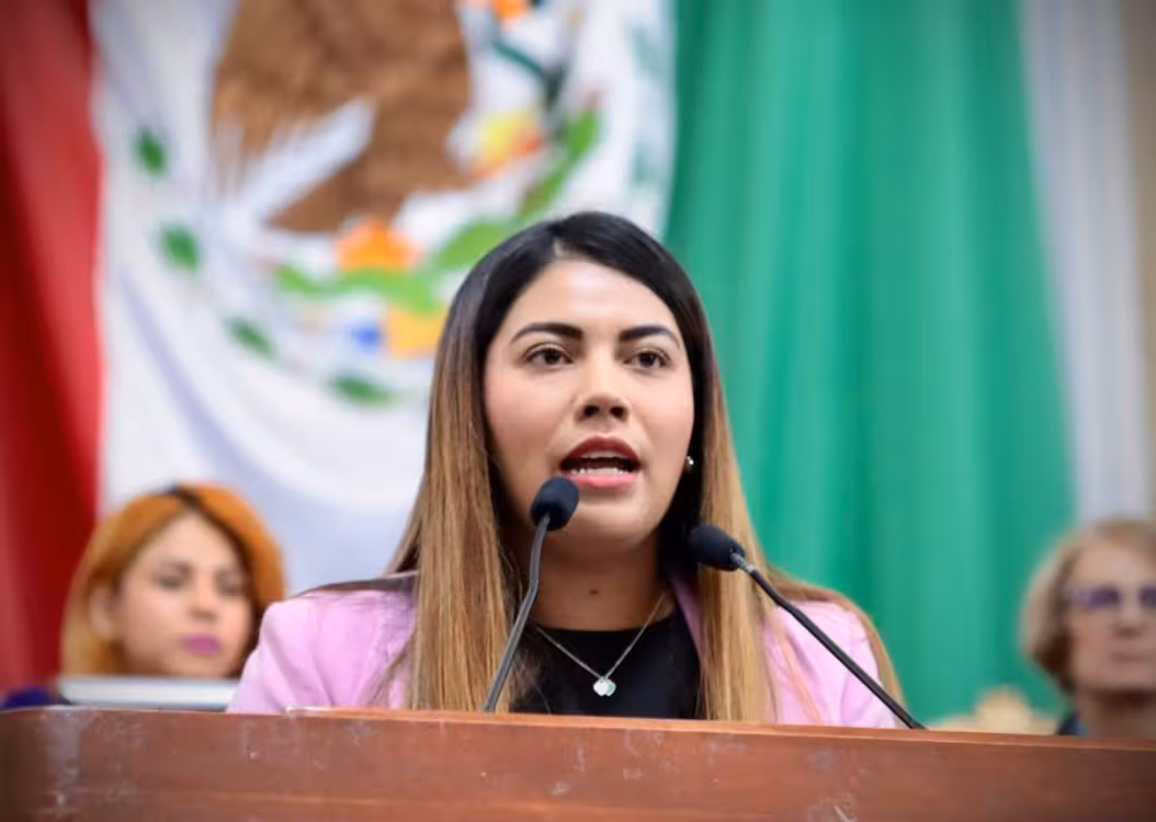 piden-diputados