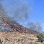 Está deforestado el 70% de la zona Sierra Costa de Michoacán; este año se han perdido 9 mil hectáreas por incendios en Coalcomán