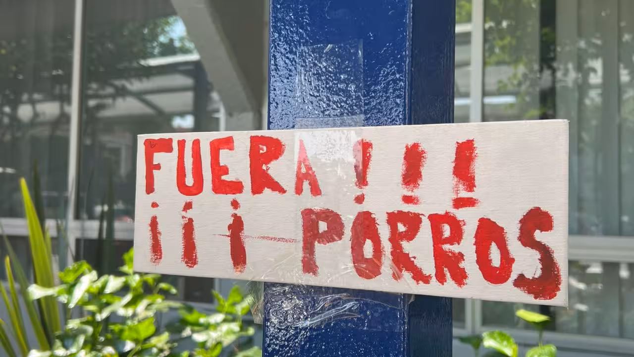 UNAM-grupos-porriles