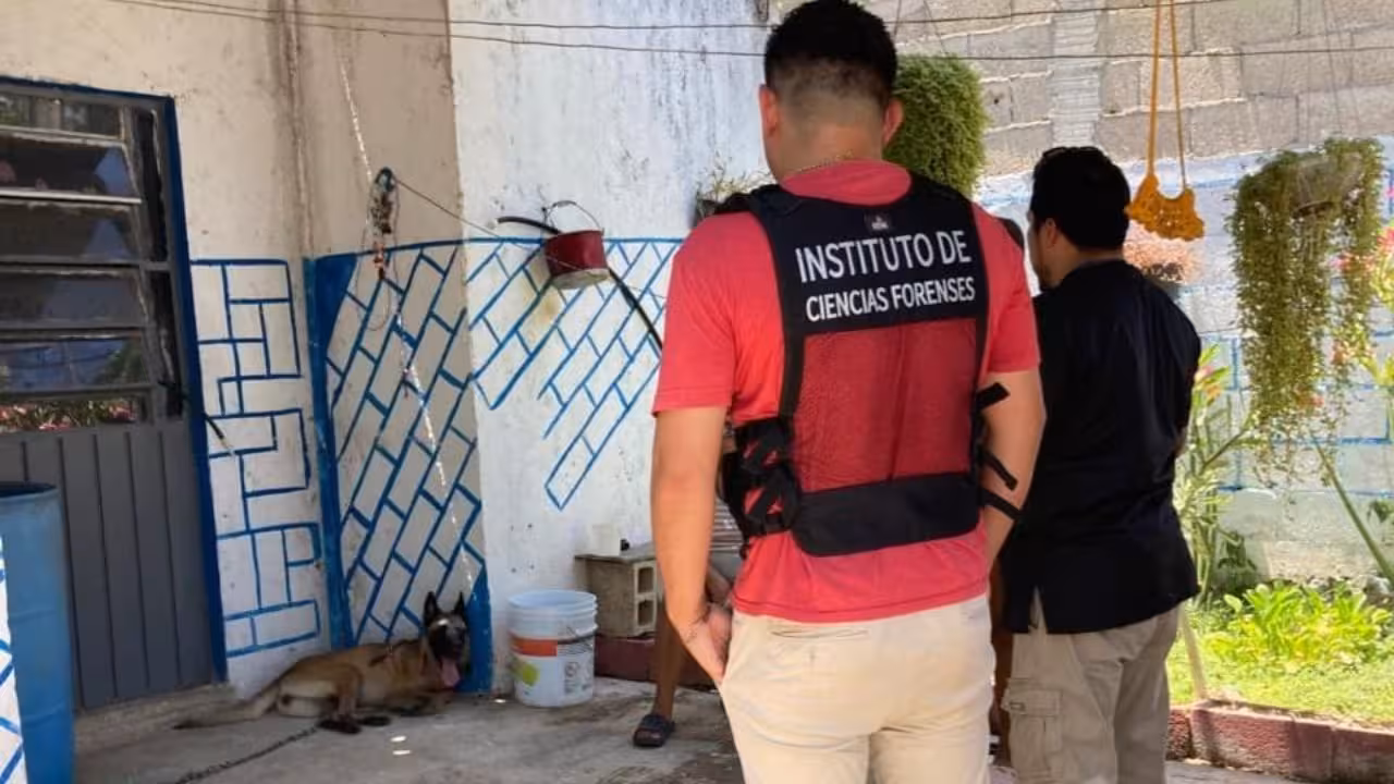 arrojan-agua-hirviendo-a-perrita-en-motul-yucatan