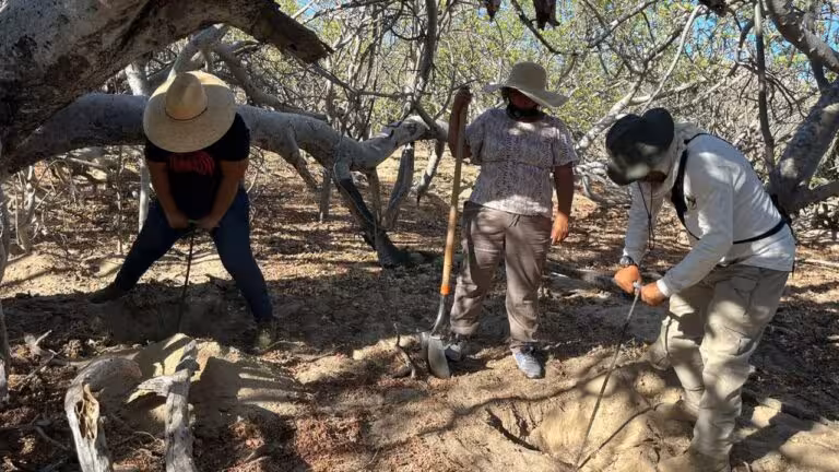 fosas-baja-California