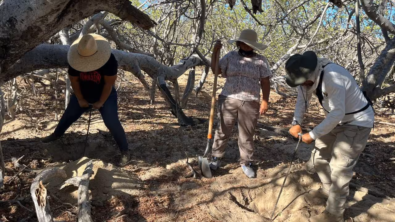 fosas-baja-California