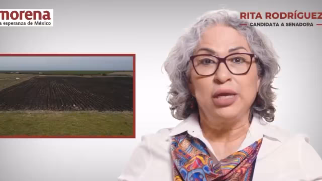 rita-ozalia-rodriguez-busca-consolidar-sembrando-vida-como-derecho-desde-el-senado