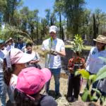 Arranca PVEM gira de agradecimiento y reforestación de más de 700 mil árboles, uno por cada voto obtenido