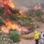 incendio-valle-de-guadalupe-baja-california-afecta-mas-de-800-hectareas