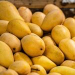 mango_fruta