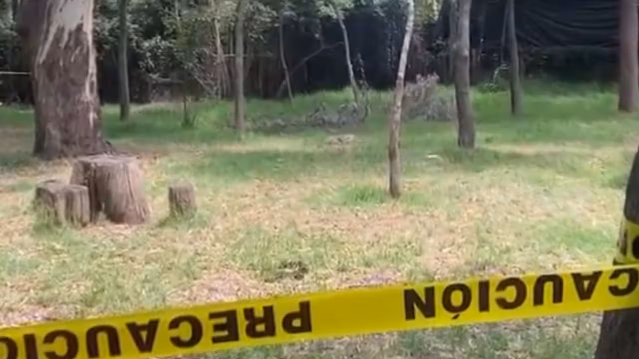 perrito-muerto-Bosque-Nativitas