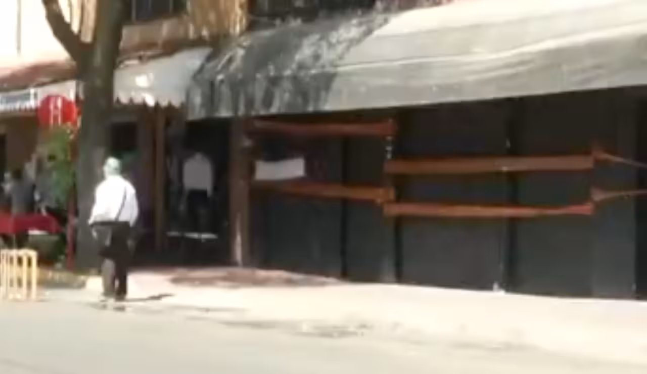 perro_salado
