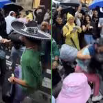 alegria