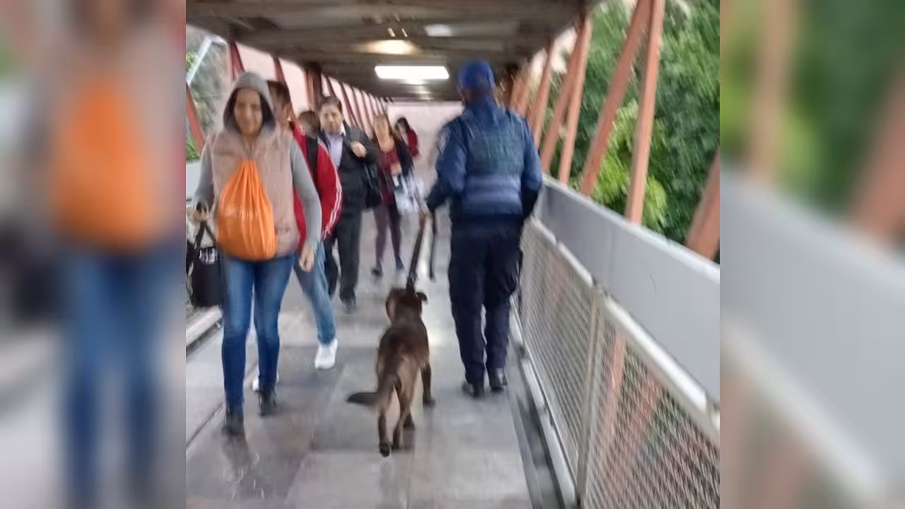 metro_perrito_linea_a