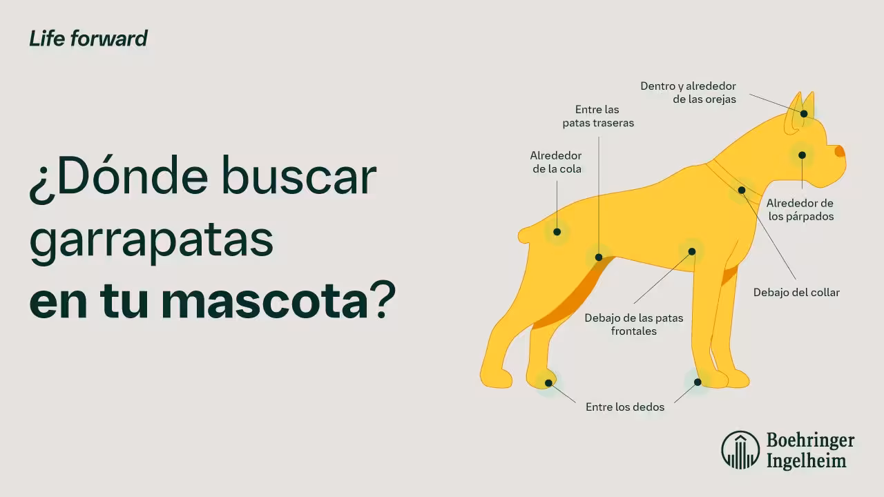 Imagen de WhatsApp 2024-08-26 a las 19.47.45_7d4f421e