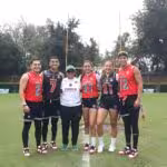 pumas