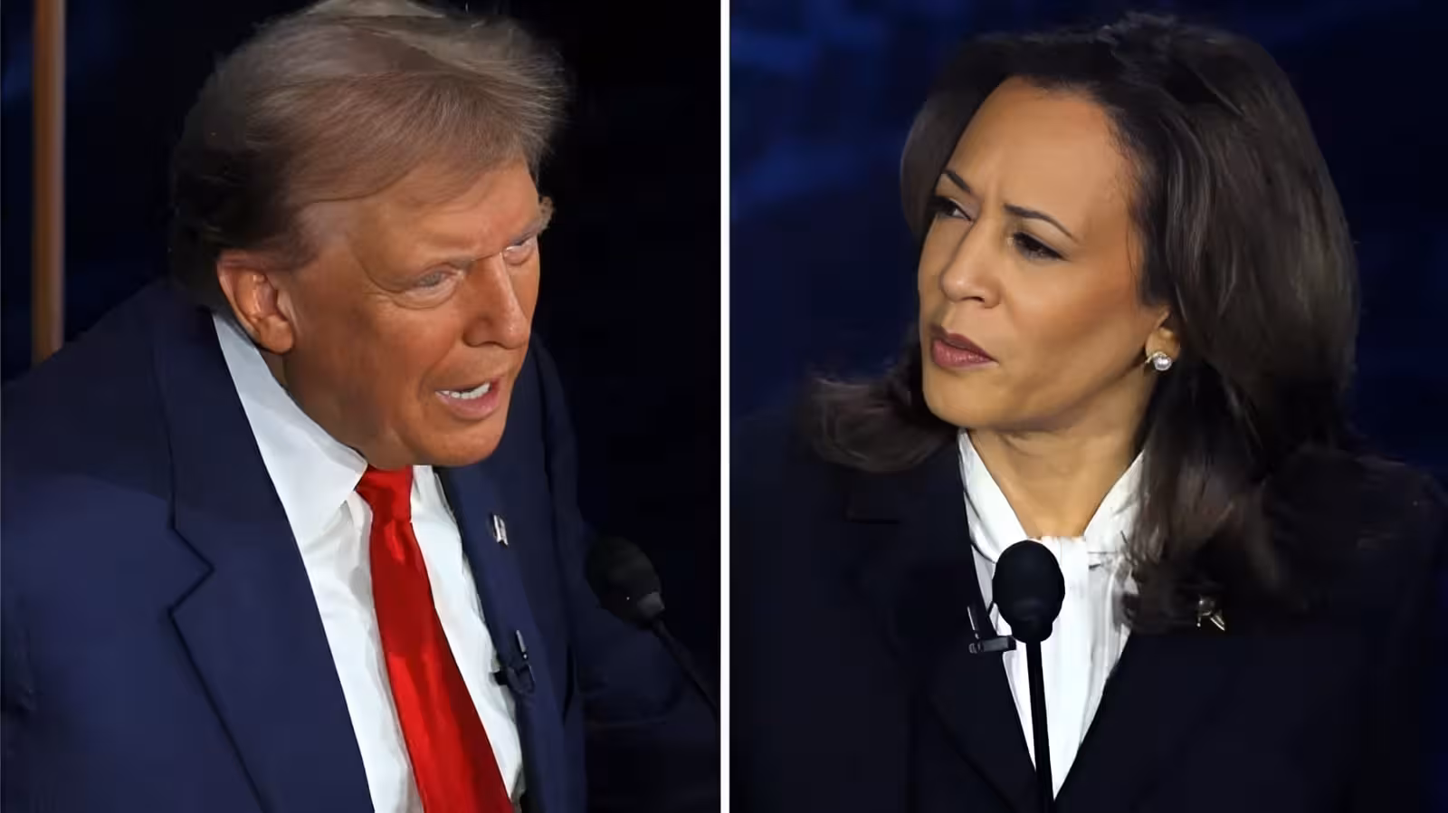 debate
