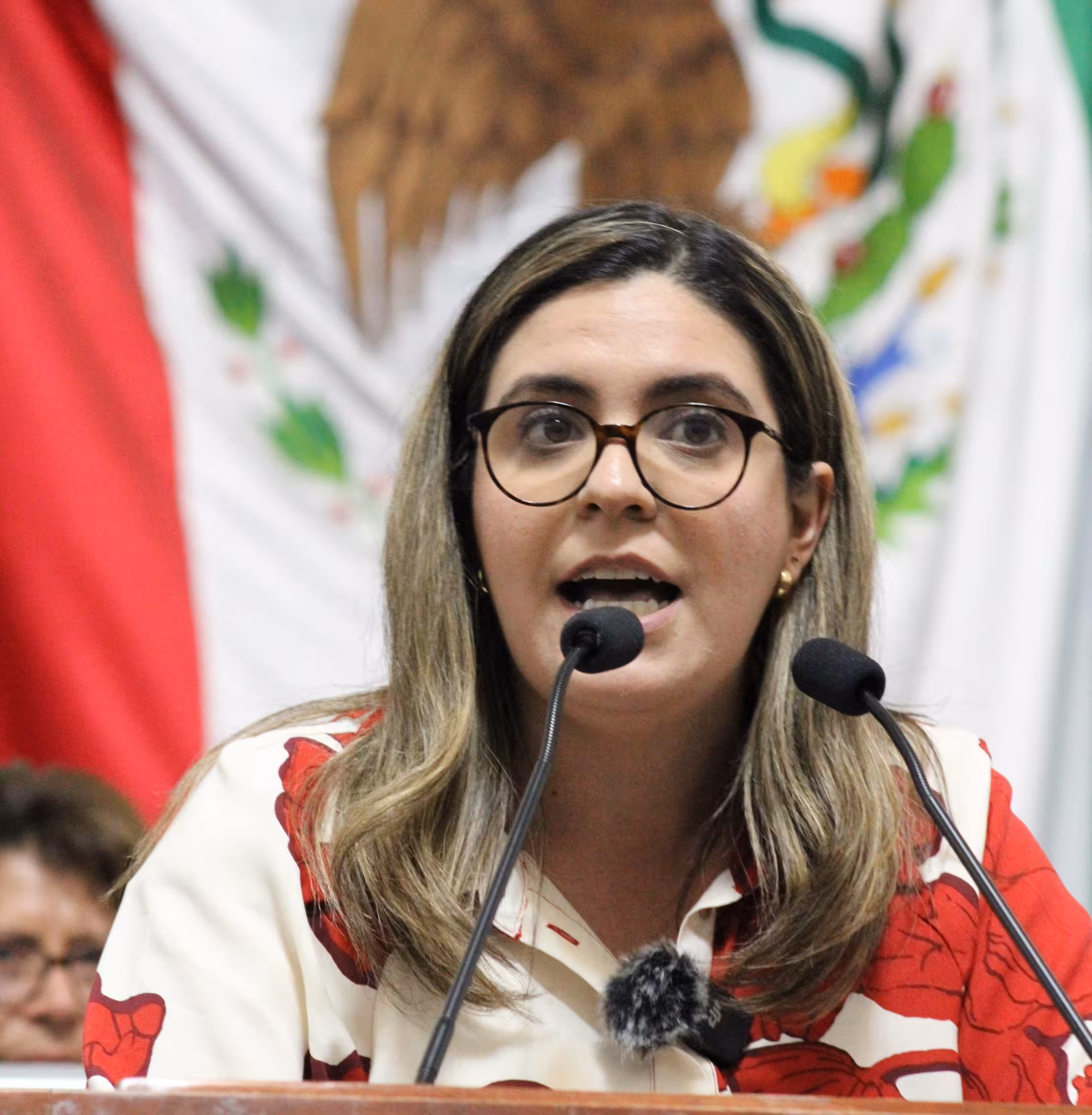 diputada