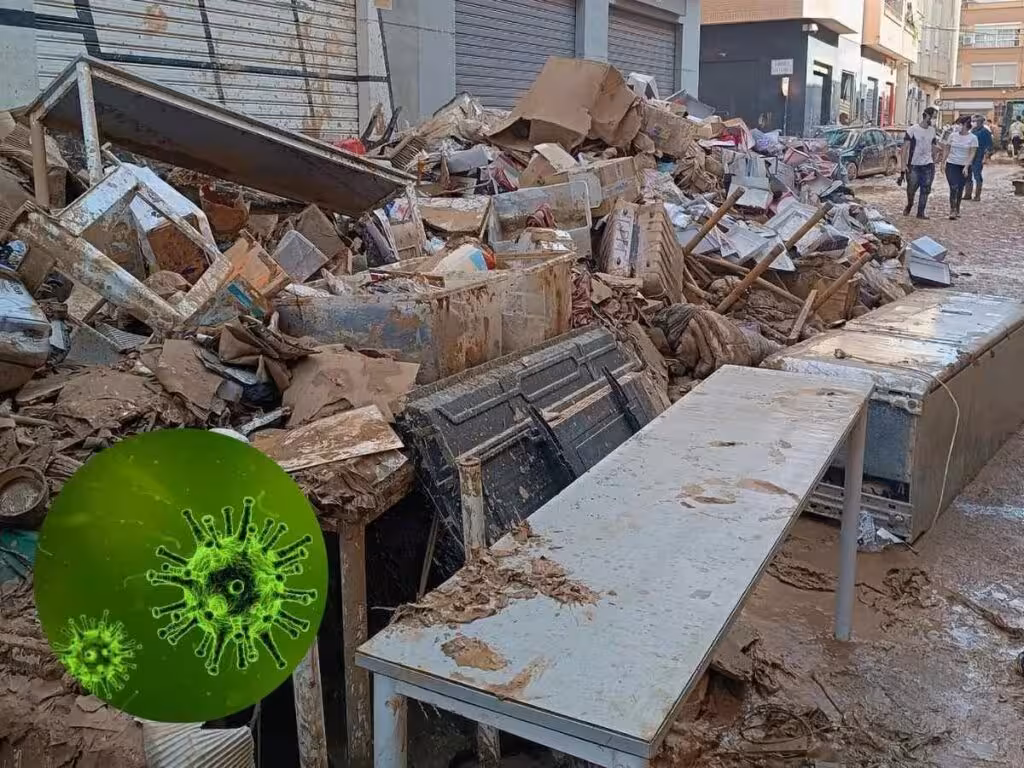 imgNota298