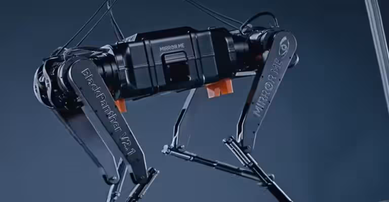 imgNota886