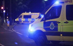 15d1519682e24d87ab0c287c50477a1e