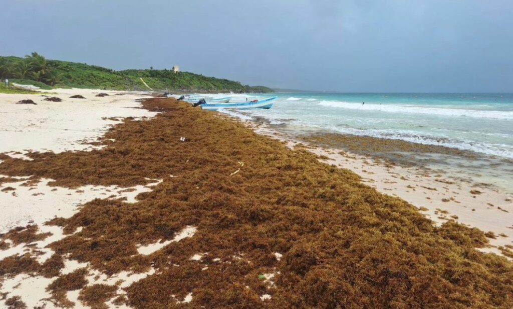 2988edc3794749fea956bee799d899d3