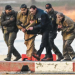 495fda8299824caea00024ee463e96bf