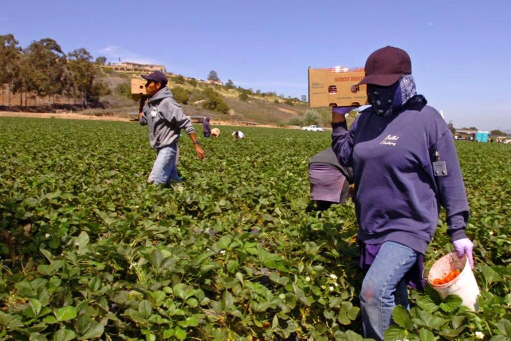 66e15dd1deb5447bacc867ea452588d9