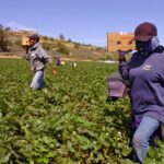 66e15dd1deb5447bacc867ea452588d9