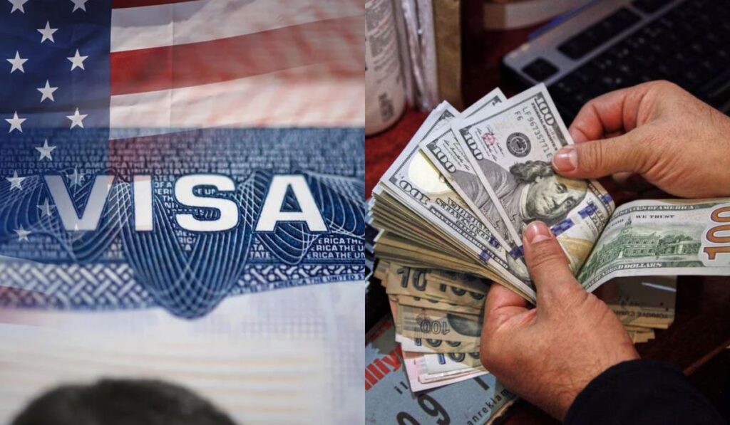 68b5ae7d227e4ecf90bb78d92e0f683a