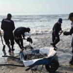 6d2af5a88e194bf389d683ff9a6908fb