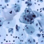 76ecd3930da9473db22db39ad4f99a1e