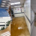 79bedd81b4ea45afb1274f15ec1e6db4