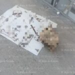 7bfddf75628943efac7d69c67fd77f9b