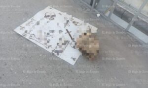 7bfddf75628943efac7d69c67fd77f9b