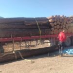 9c213e629bac465d849138e677795865