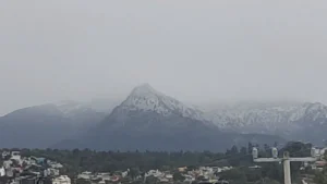 a3aeb7bdea0e460e97213a5b0529d3e5