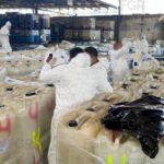 eb00b3447a4a423bbb6f60370fbca220