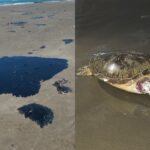 f270e4039626439596ad4a97837fb0f3