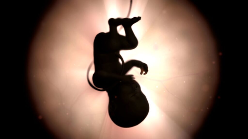 f86c19ed73684938b3018d441f7bf486