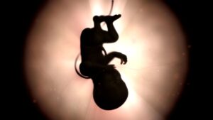 f86c19ed73684938b3018d441f7bf486